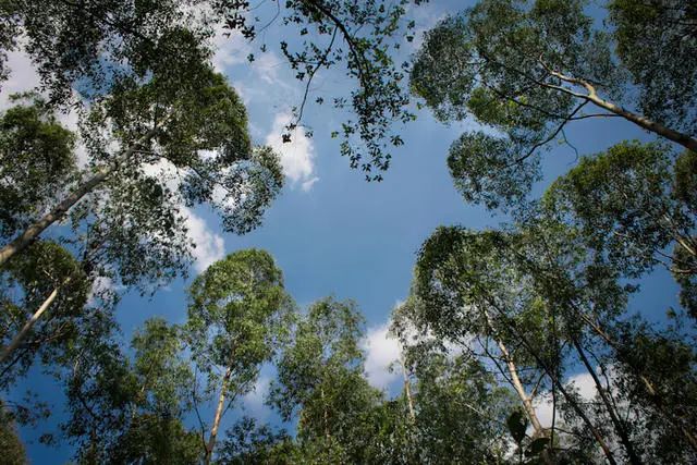 广州婚纱摄影排行榜前十名的拍摄地
